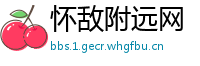 怀敌附远网
